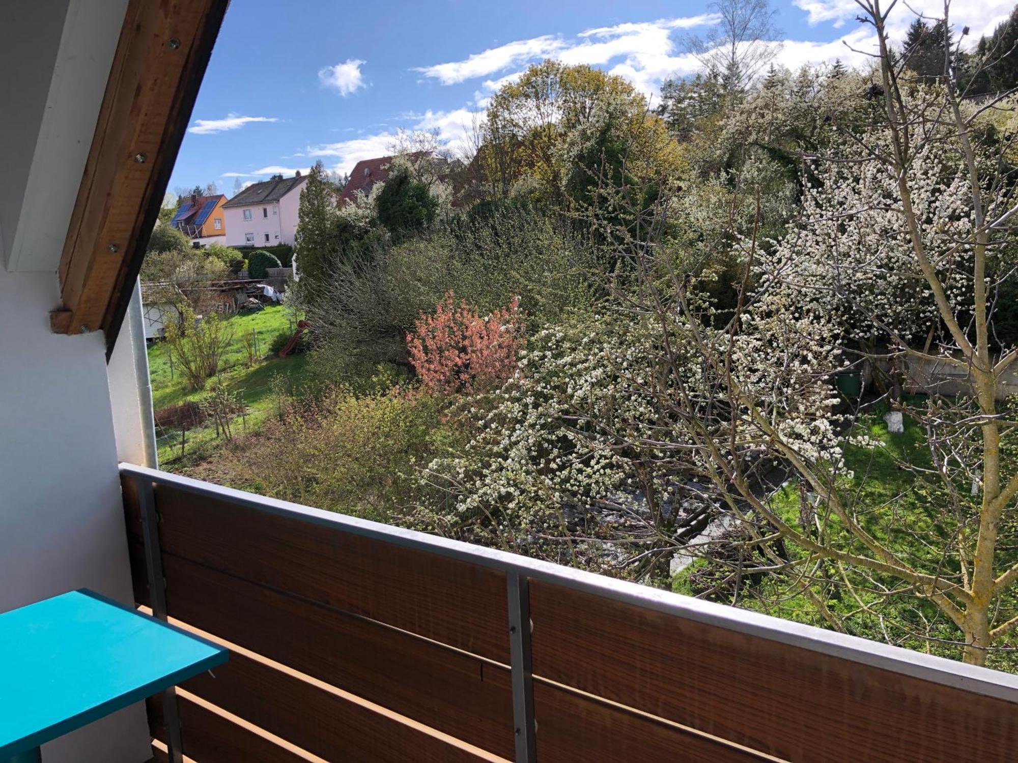 Blaues Zimmer Mit Grossem Balkon, Bad Ist Ein Traum, 50 Schritte Zum Radweg Am Main,Ideal For Short Stay Mainstockheim Buitenkant foto