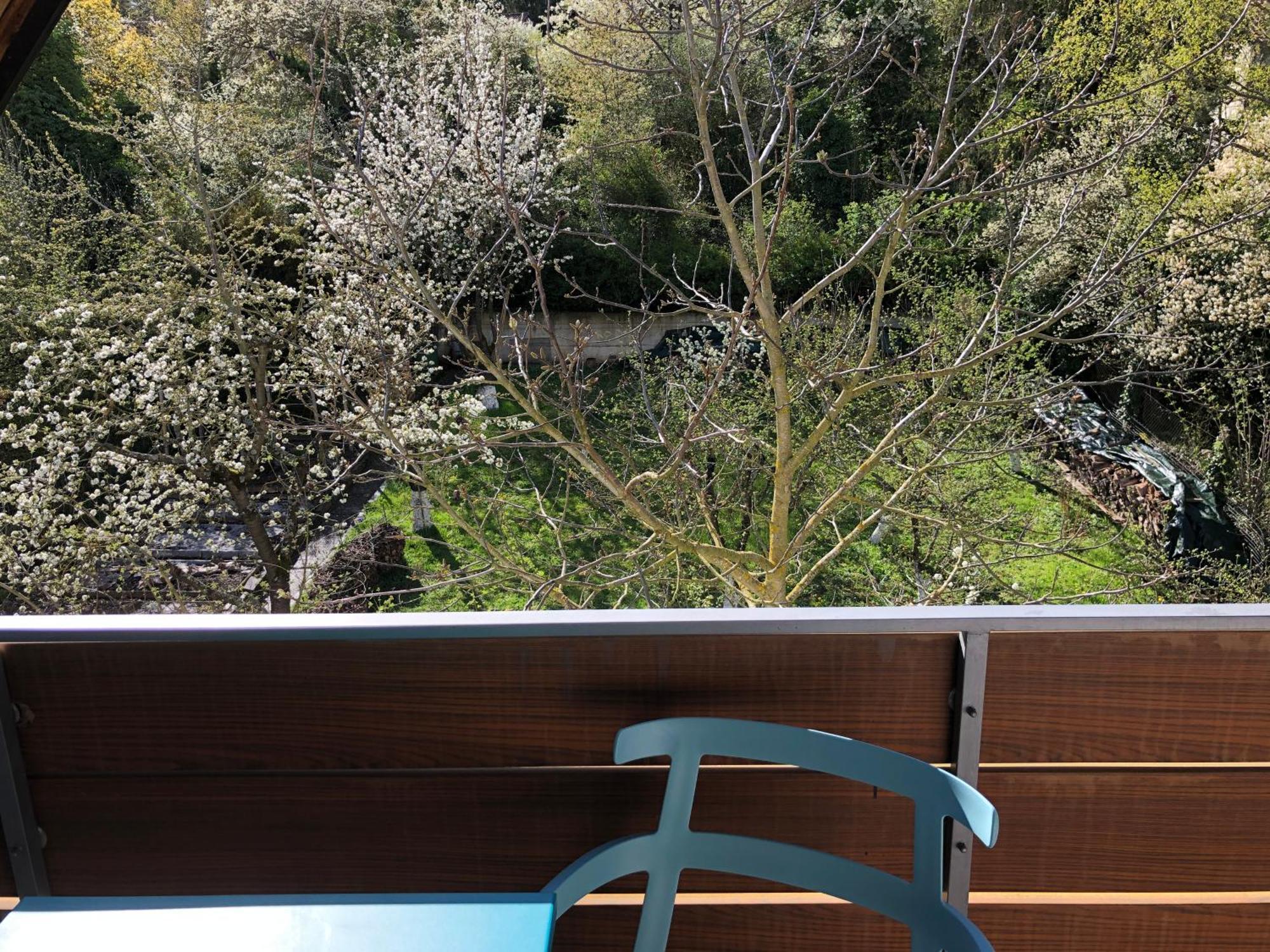 Blaues Zimmer Mit Grossem Balkon, Bad Ist Ein Traum, 50 Schritte Zum Radweg Am Main,Ideal For Short Stay Mainstockheim Buitenkant foto